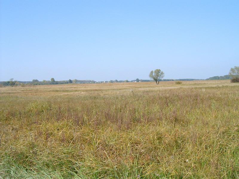 2010.10.09. 099.jpg